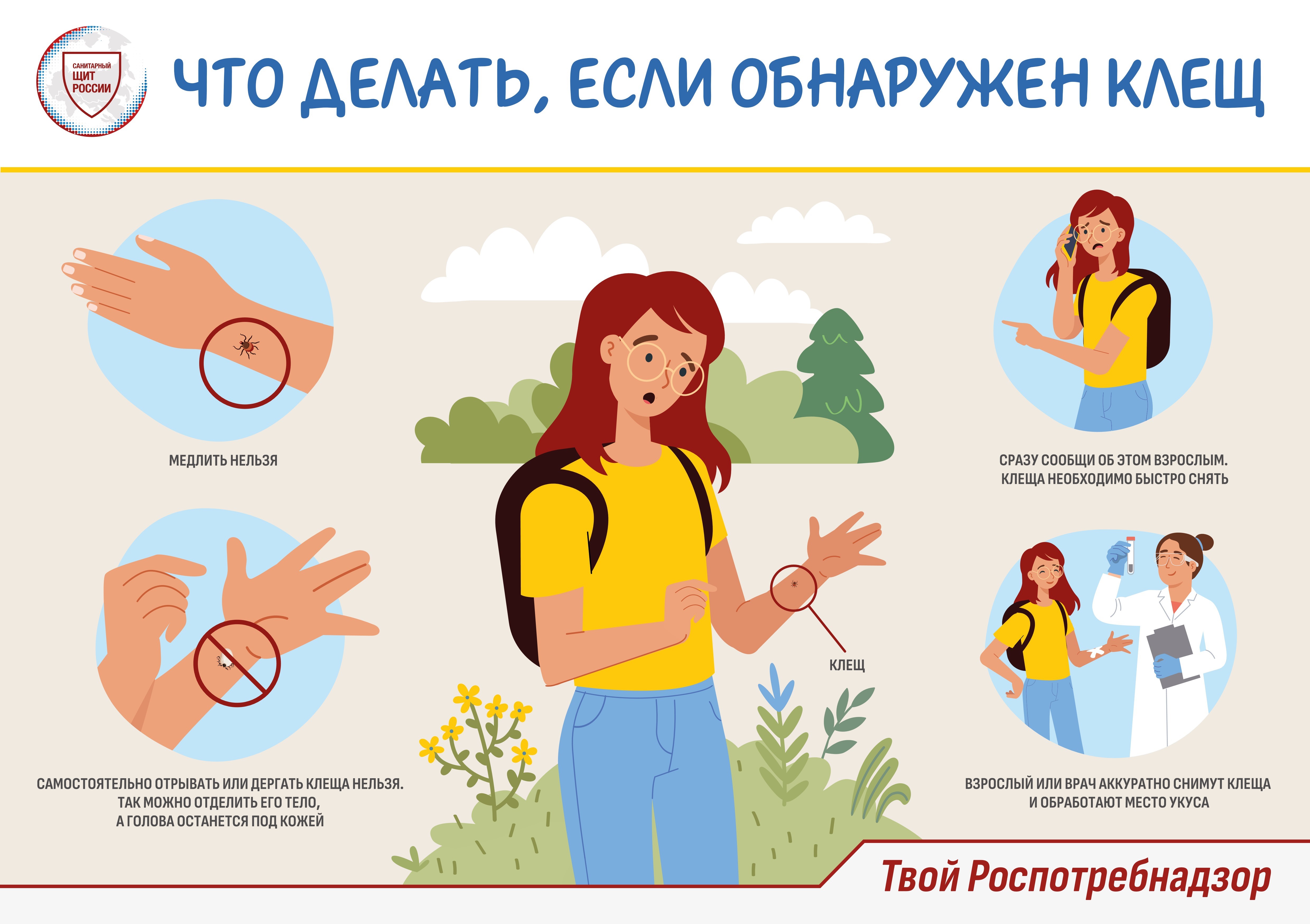Изображения.