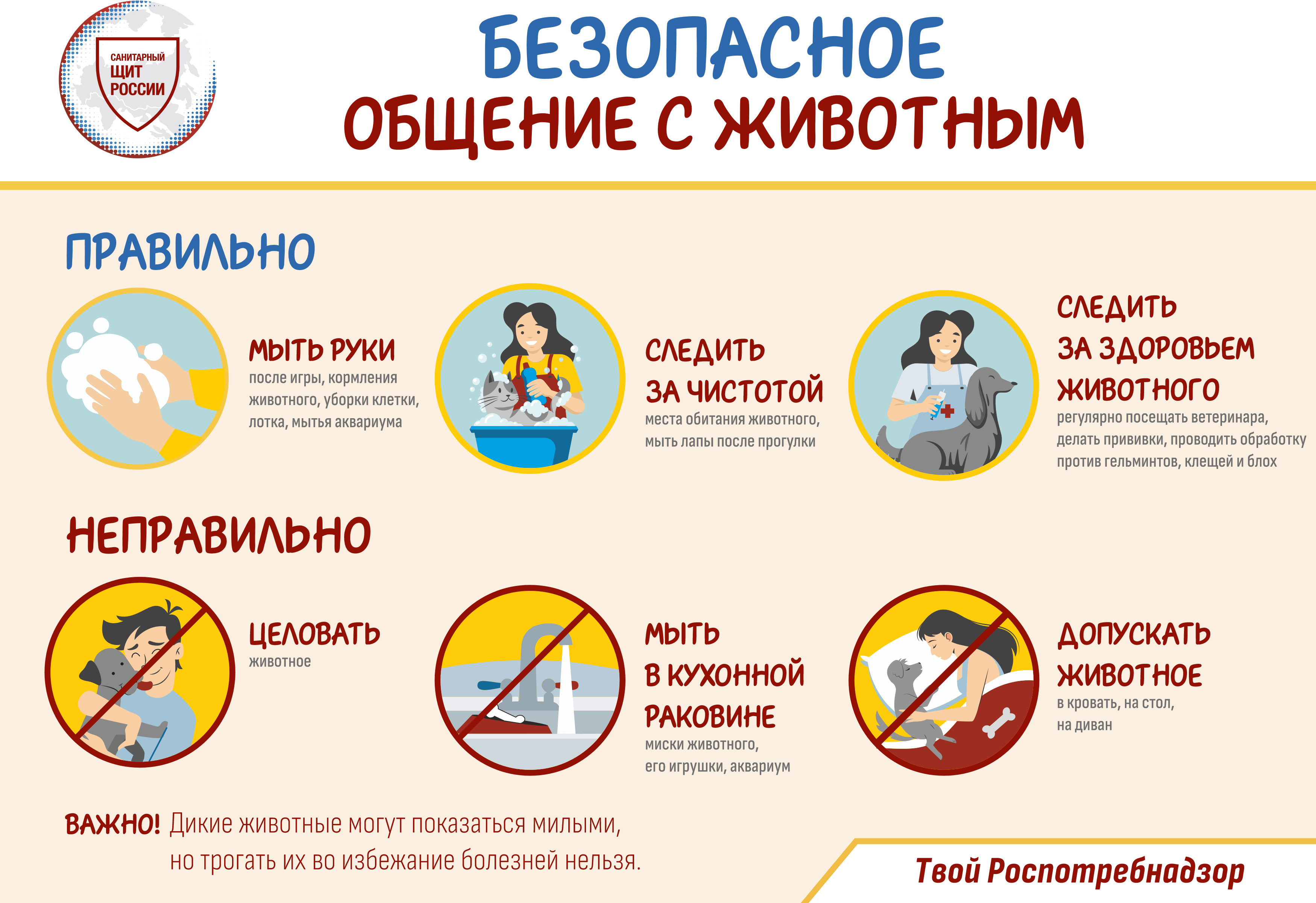 Изображения.